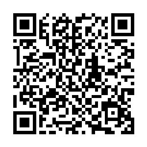 遇到分歧和意见不一的时候则采取少数服从多数的原则处理二维码生成