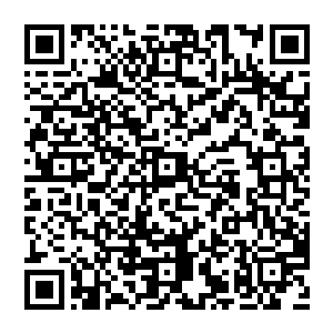 道之境的他　显然已经看透了不少　无数年的等待　也不急于这一时半刻　何不如安心下來　看着他的成长二维码生成