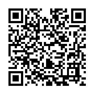 遗憾的是……你也是一个会给这个世界带来混沌和罪恶的人……二维码生成