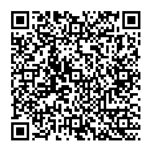 那……那……那个络腮胡子……像是传说中的……毕卡罗……传闻他……他从来未失败过……他也败了……二维码生成