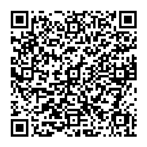 那一具具白骨嗡嗡作响 似乎已经开始奏出了一一首沧桑的战歌 那是两个种族的宿命与渊源二维码生成