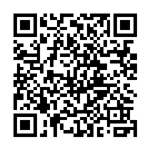 那一品的禁卫首领果断的丢出了神枪和我的怒雷撞在了一起二维码生成
