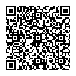 那一声尖叫也是相当凄厉的……几乎让宴会厅中的半数以上的宾客都往忍不住往这边看了二维码生成