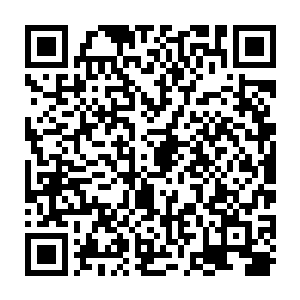 那一天……这间学校的数名教师和十几名学生都被人用极度残忍的手法杀害了二维码生成