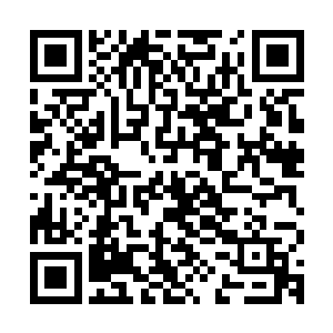 那一定会不惜耗费大代价启用秘法将这里的消息传递到兽神大陆二维码生成