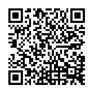 那一定是我出于某种目的……故意让你们产生了那样的感觉二维码生成