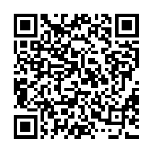 那一座仙人塔通体使用坚硬程度堪比钢铁的钢岩制造而成二维码生成