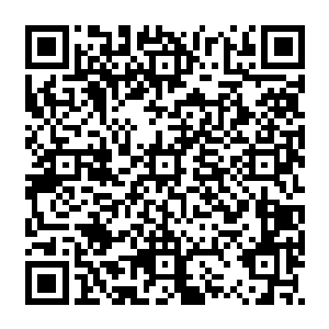 那一张张因为过于激动而变形的脸孔用最直接的方式呈现着他们内心的狂热和亢奋二维码生成