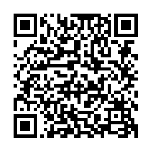那一枚天元正印丹的价格就已经从两百万底价攀升到了一千万二维码生成