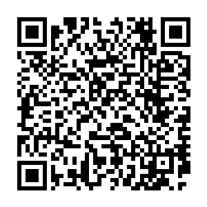 那一枚枚肉眼难觅的银针便如乳燕归巢一般纷纷向着池佳一手中聚拢二维码生成