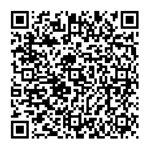 那一段时间 是他们永远也无法磨灭的沉痛回忆 那是一场大战 大巫天族之人不知为何开启了大型传送阵二维码生成