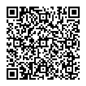 那一片片用彩钢和钢构搭建起来的厂房通过比两边略高的昌宋公路上可以一览无余二维码生成