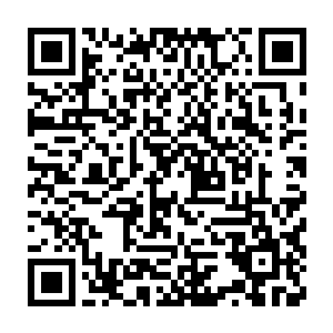那三家意大利跨国公司代表一开始的表现跟其他公司并没有任何区别二维码生成