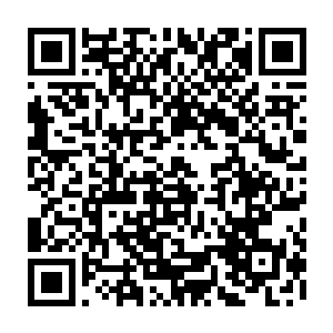 那下颌处的几许青色经脉此刻看起來只觉似乎只要轻轻触碰便要破裂而出似的二维码生成