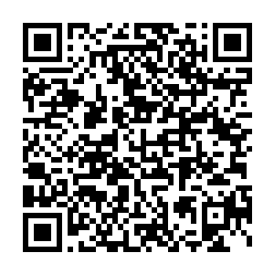 那不用在意的繁文缛节··看来师宗传人的地位确实比师丝桐的高许多呢~二维码生成