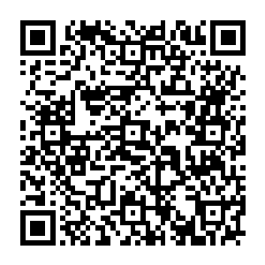那两个保镖就是曾经在候小辉的指令下对原主实行轮j的人……在梓箐看来被人下药二维码生成