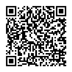 那两名守卫一听是三位族长顿时表情缓和了下来让开了一条路让几个人进去了二维码生成