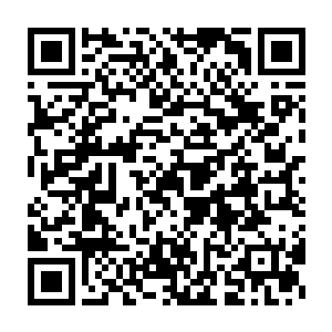 那两种最为根本的力量在无数年的懵懂和沉寂之后化作了灼照和幽莹二维码生成