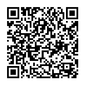 那两股寒气看似厉害但在这威严凶猛的巨龙面前却渺小得如撼树的蚍蜉二维码生成