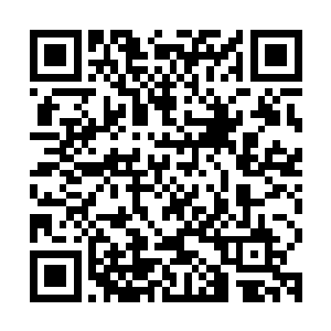 那个九鼎门组织的什么炼丹大会再过不到一年的时间就要开始了二维码生成