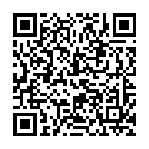那个代表了某个人类逆袭的玩家就开始实施了自己的计划吗二维码生成