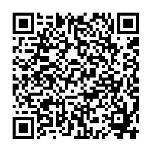 那个传送到蓝buff眼位上的w1上单璐璐才远远地出现在陈诚等人的眼前二维码生成