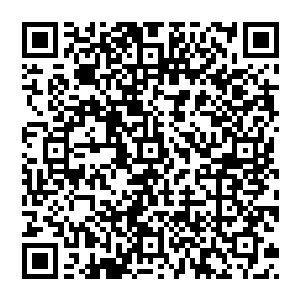 那个保镖还沒有碰到苏阿蛮 整个突然就侧飞了出去 重重的撞在了廊道旁的钢化玻璃上 昏了过去二维码生成