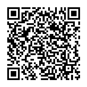 那个几乎被包裹得密密麻麻的病人没有任何的动作不过他们的眼神二维码生成