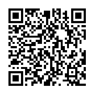 那个力量进化者咚的一声将几百斤重的狼牙棒狠狠砸在地面二维码生成