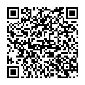 那个原本被我用九针锁魂锁住了的双瞳孔又十分诡异的出现在大红的眼里二维码生成