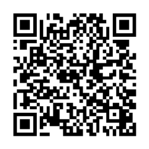 那个可爱单纯的小狐狸如今已经变成了现在这副模样二维码生成