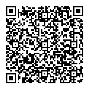 那个地方称作玄黄 只不过 玄黄之地已经无法开启 据说遥远的神话传说年底啊 曾经开启过一次 而其中 曾经有仙二维码生成