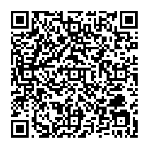 那个寒月到底是用了什么办法竟然可以源源不断的培养出大批的高手来加入到这个传说一样的组织里二维码生成