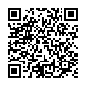 那个散仙盟的修士便认真地检查了一下那个通体火红的东西二维码生成