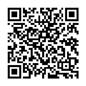 那个晚上卡梅隆还是向雨果抱怨了――抱怨他没有和她说实话二维码生成