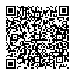 那个比燕子扬还黑的后来被人取了绰号叫驴哥的小伙子和燕子扬一起扛着保险箱回来了二维码生成