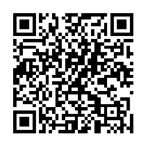 那个流墨墨给他的玉简他看了一眼后就收入怀中不再去碰二维码生成