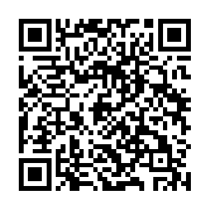 那个管理机构已变成了另一个压迫其他囚犯的霸权团体二维码生成