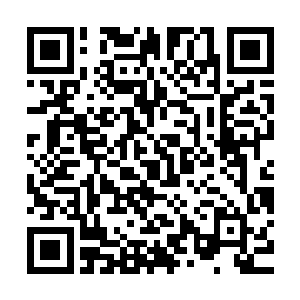 那个被他们撕成两截的研究员在一种奇异的效应下一滴血都没流二维码生成