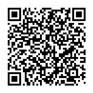 那个隐藏着万灵血池和通灵血晶的山洞之中也忽然绽放出万丈血芒二维码生成