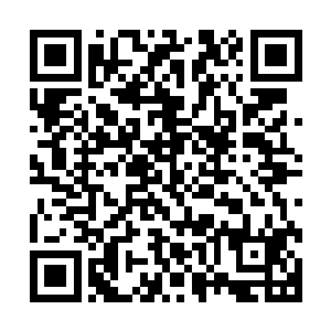 那为何这一任宗主还念念不忘地让武想尽一切办法让我去武宗二维码生成