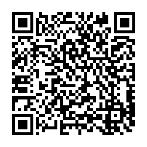那么不如现在就来帮我们介绍一下所谓的华夏的网络文学是一种怎样的文学体系二维码生成