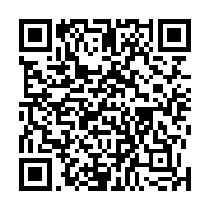 那么不如索性动用排名前几的亲传弟子尽早结束这场战斗二维码生成