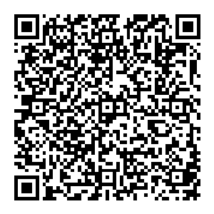 那么也许任务失败后的惩罚也是一样的……万一是把阿旁宫里所有的生灵都吸光生气的话……大家留在这里就是死路一条二维码生成
