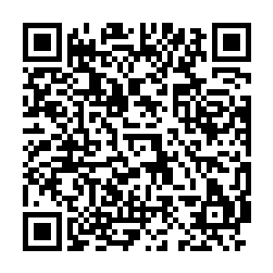 那么今晚你认为珍妮弗的表现是否足以为她赢得一封录取通知书呢二维码生成