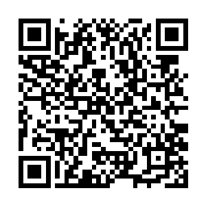 那么他将聂辰击成重伤的攻击绝对不是他最强的攻击二维码生成