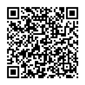 那么他父亲的翰林院庶吉士身份和他自己的秀才身份总不是扯淡的罢二维码生成