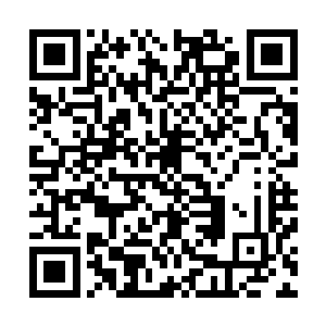 那么以她现在的属性值已经能应付大多数的普通任务世界了二维码生成