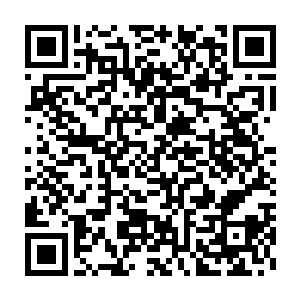 那么任何宗门年轻一代岂不是都可以倚仗凤血芝成为超越先贤的存在二维码生成