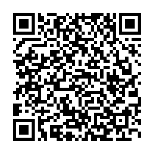 那么其他的贵族就未必会继续臣服他的统治……而我们的机会就来了二维码生成